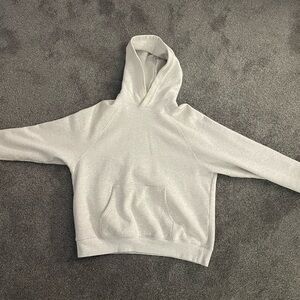 Aritzia hoodie